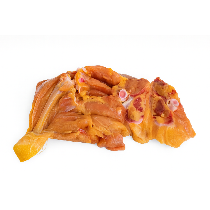 Muslo de pollo sin antibiótico y alimentado con maíz para hacer a la brasa
