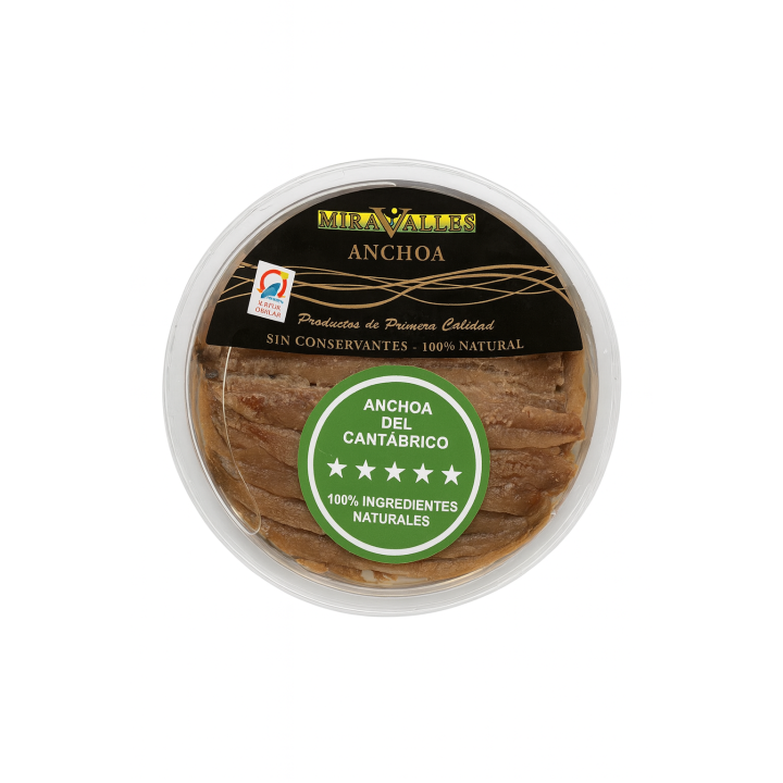 Anchoa del Cantábrico