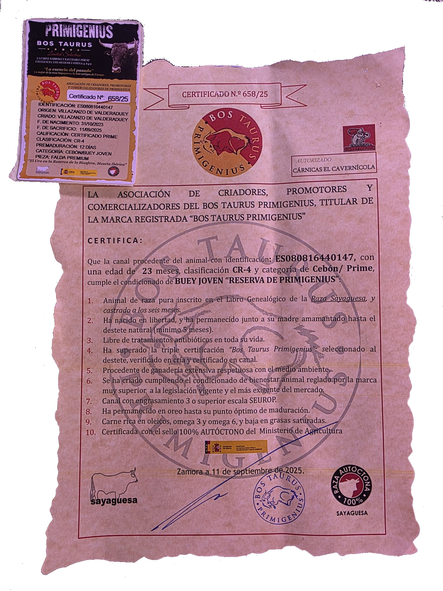 Certificado de Calidad Bos Taurus Primigenius