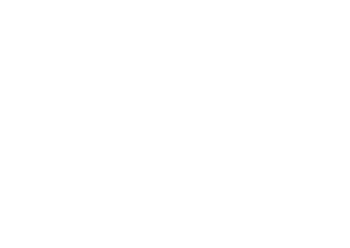 Pintura rupestre Bos Taurus Primigenius