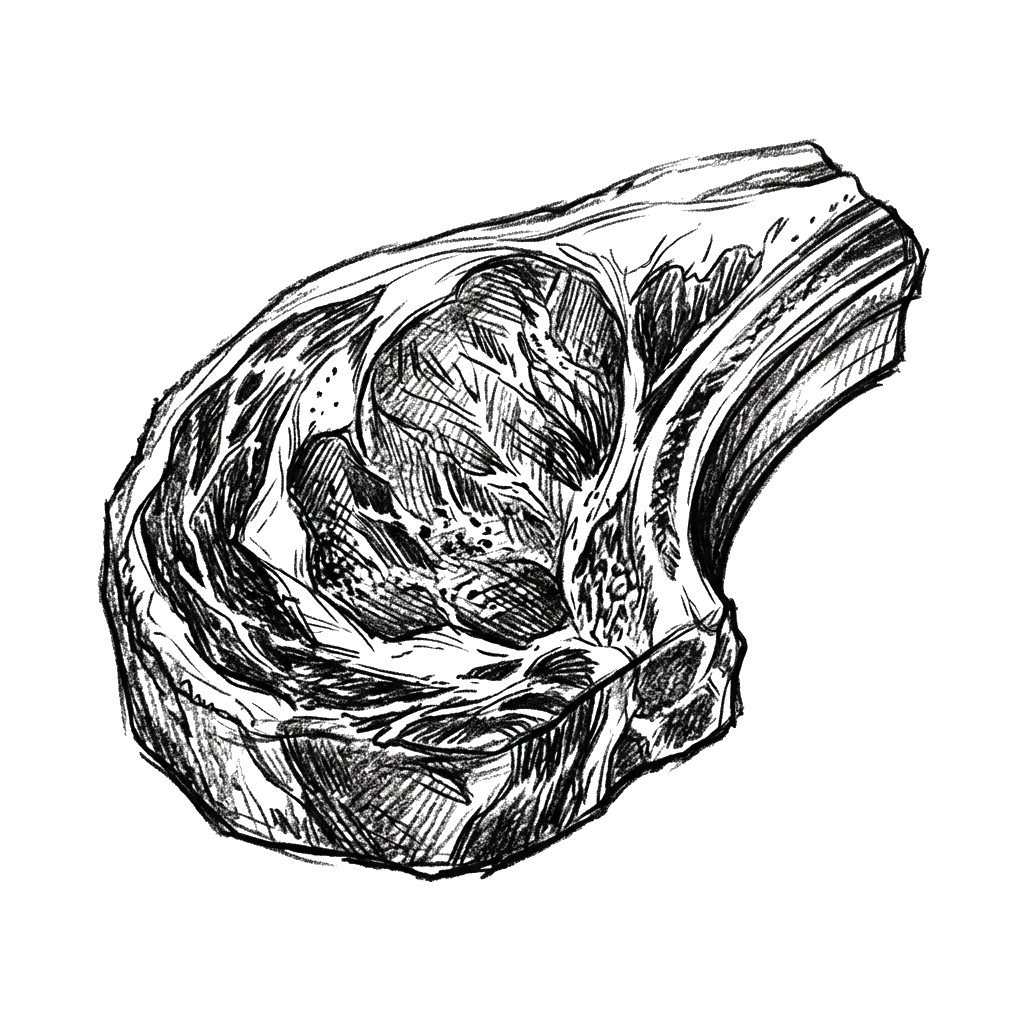 Carne fresca del día